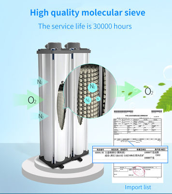 96% Purity 5L Molecular Sieve Oxygen Concentrator Equipment Untuk Penggunaan Rumah Sakit