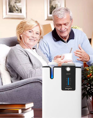 Generator oksigen konsentrator oksigen 5L portabel untuk digunakan di rumah dan rumah sakit