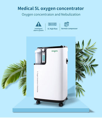 220V Konsentrator Oksigen Portabel Medis 5 Liter Per Menit